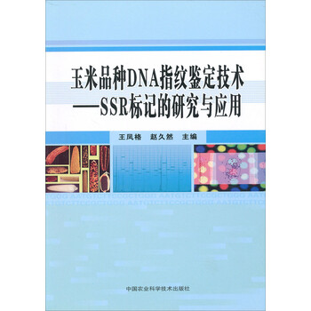 玉米