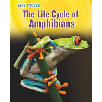 life cycle