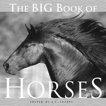 the big book of