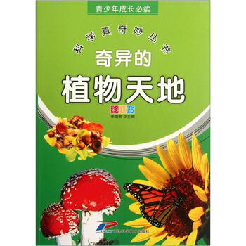 天地