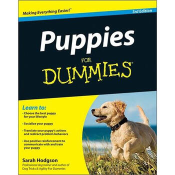 for dummies