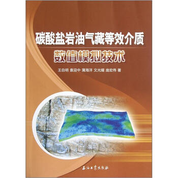 數(shù)值模擬