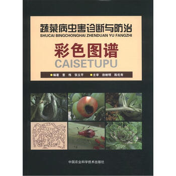 蔬菜病蟲害