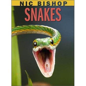 nic