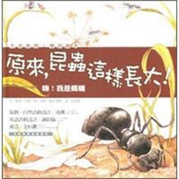 昆蟲