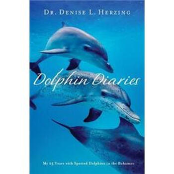 dolphin