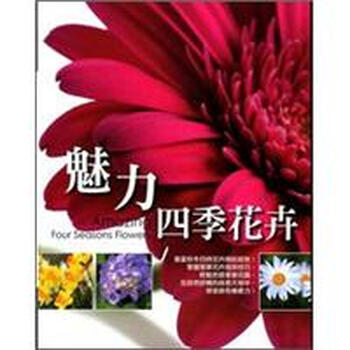 四季花卉