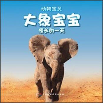 動(dòng)物寶寶