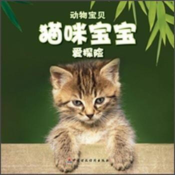 貓咪