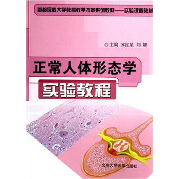 人體教程