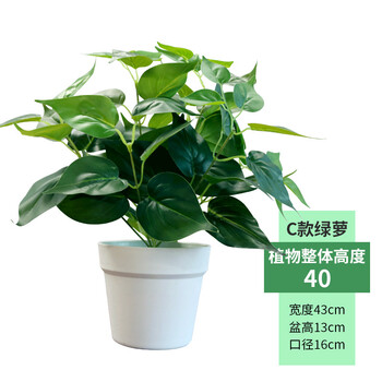 北歐風(fēng)花瓶，打造精致客廳的藝術(shù)