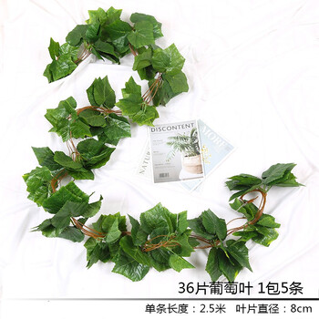 立體藤蔓葉子