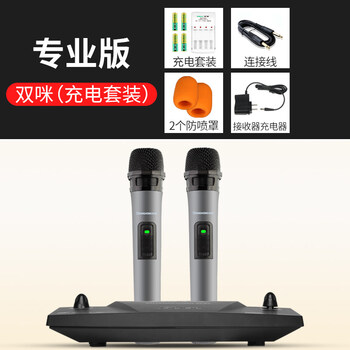 一拖二無(wú)線(xiàn)咪