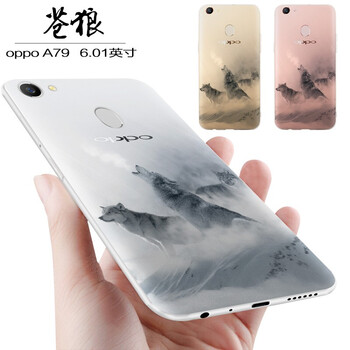 小笨魚 oppoa79 手機殼/保護套