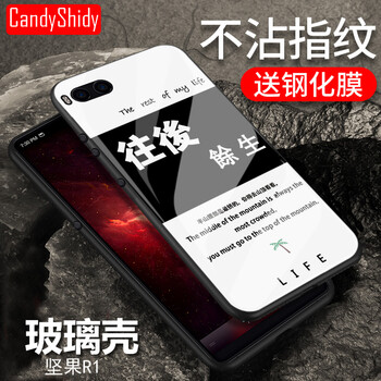 錘子r21