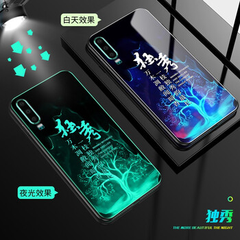 普邁鑫 P30 手機(jī)殼/保護(hù)套