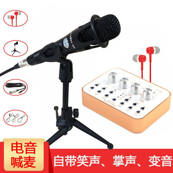 斗麥主  懸掛式 麥克風(fēng) 麥克風(fēng)+支架+聲卡