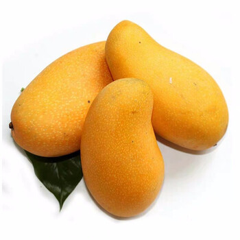 非香芒