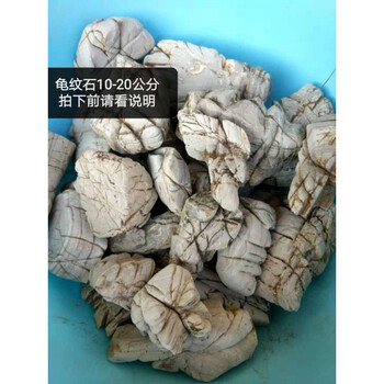 點(diǎn)客廳單調(diào)，創(chuàng)意擺件讓你愛(ài)上家