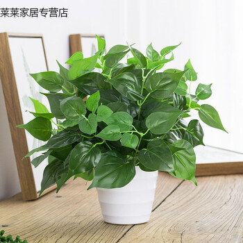 一盞玻璃花瓶，讓你的生活更浪漫