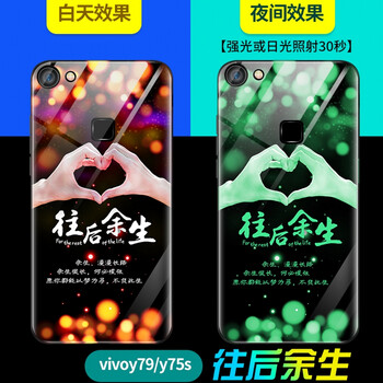 巢迪 vivo y73 手機(jī)殼/保護(hù)套