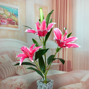 精美生態(tài)花瓶，提升你的獨(dú)特品味