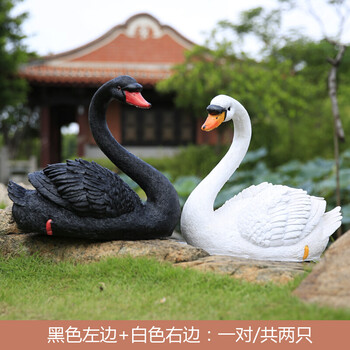 水槽模型