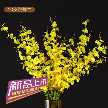 透明玻璃花瓶，打造精致家居生活