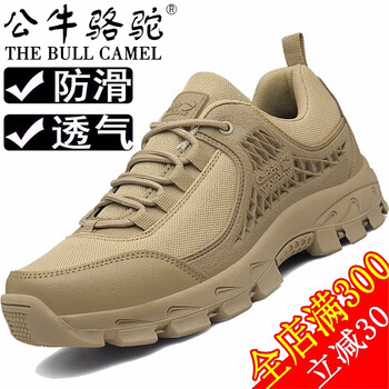 公牛駱駝（THE BULL CAMEL）男士TA938-2透氣款棕色 41