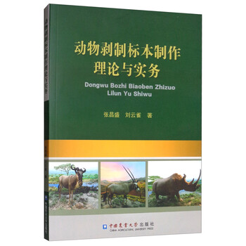 動(dòng)物標(biāo)本制作