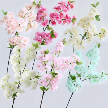 櫻花桃花