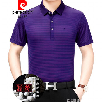 皮爾卡丹（pierrecardin） 短袖 男士T恤 H19-9503上青夾梅紅 