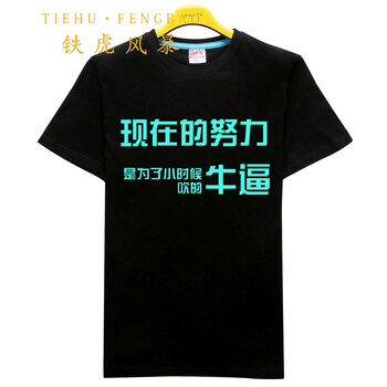 鐵虎風暴（TIEHUFENGBAO） 短袖 男士T恤 夜光現(xiàn)在的努力 
