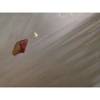 评测！小天鹅TB100PURE洗衣机怎么样？使用一个月真实感受竟然这样？