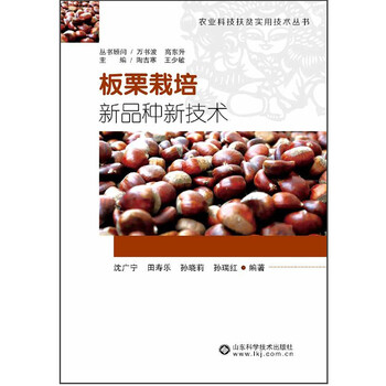 板栗