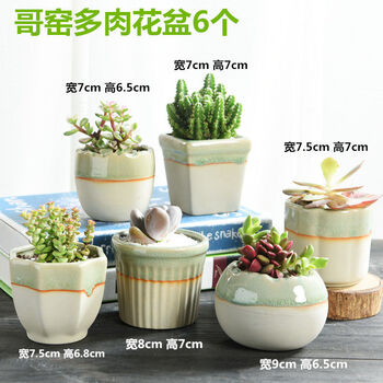 一盞花瓶，讓你的家四季如春