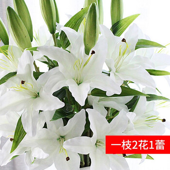 精美生態(tài)花瓶，打造浪漫田園風