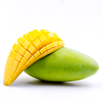 ʹ⽷â
