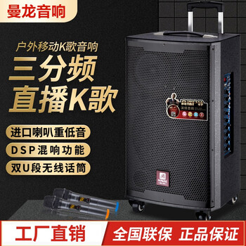 曼龍（MALONE） M10 M12 M15 音箱/音響 M10 10寸2個(gè)U段話筒+遙控+U盤