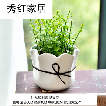 傳統(tǒng)花瓶，讓你的生活更精致