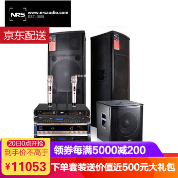 NRS 8825 音箱/音響 8825 雙15英寸豪華套裝I+線材禮包
