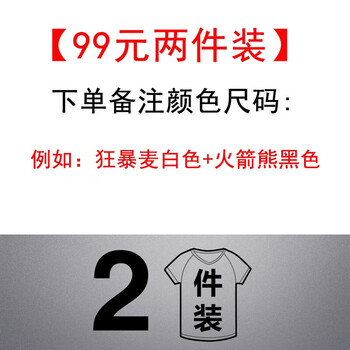 西域駱駝（VANCAMEL） 短袖 男士T恤 ，兩件裝 
