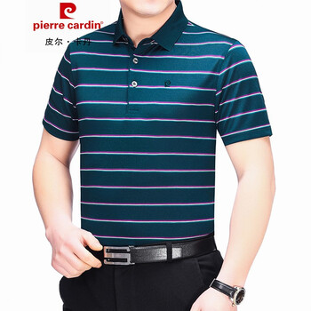 皮爾卡丹（pierrecardin） 短袖 男士T恤 蘭綠85020 