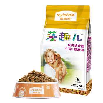 寵物狗-金毛