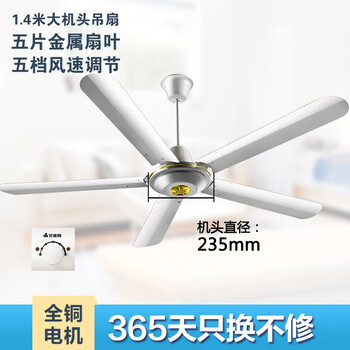 樓頂扇