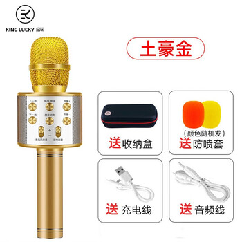 金運(yùn)  手持 麥克風(fēng) 【土豪金                旅行套裝】