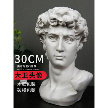 大衛(wèi)石膏頭像