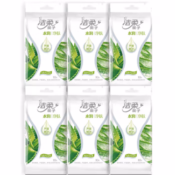 洁柔(C&S)湿巾 水润净肤湿巾10片独立装*6包（芦荟保湿精华 温和无刺激不含酒精 湿纸巾）新老包装交替发货