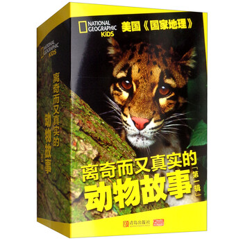 動(dòng)物套裝