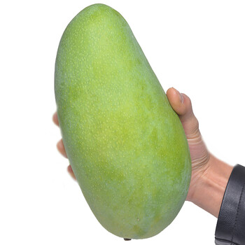 ڹߴâ